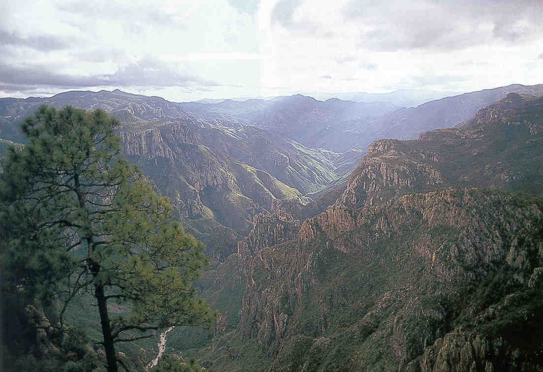 Barranca de Candamena